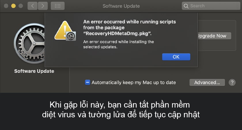 Hướng dẫn cách khắc phục các lỗi thường gặp khi cài đặt macOS Catalina