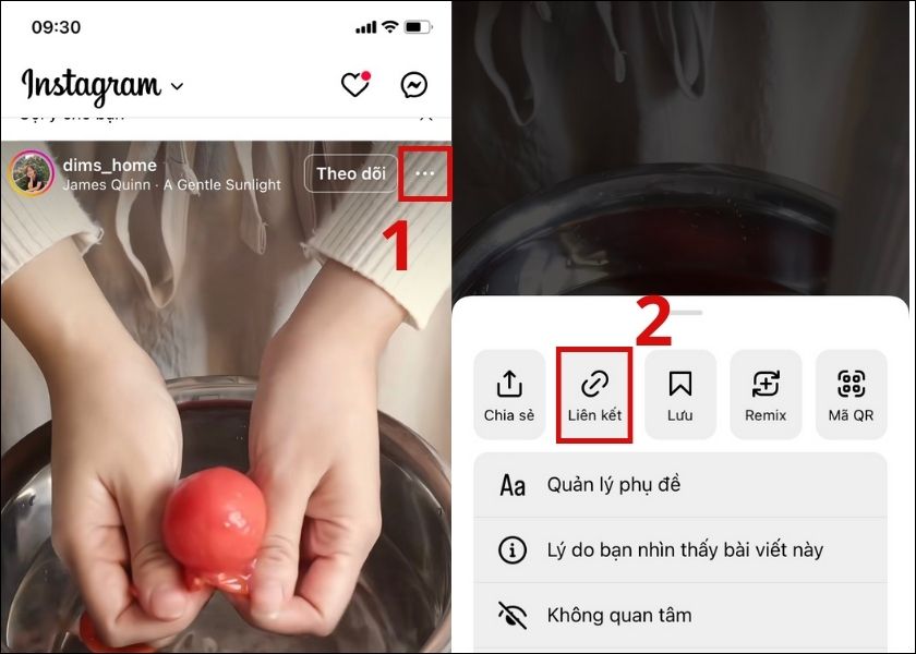 cách download ảnh, video instagram bằng ig downloader