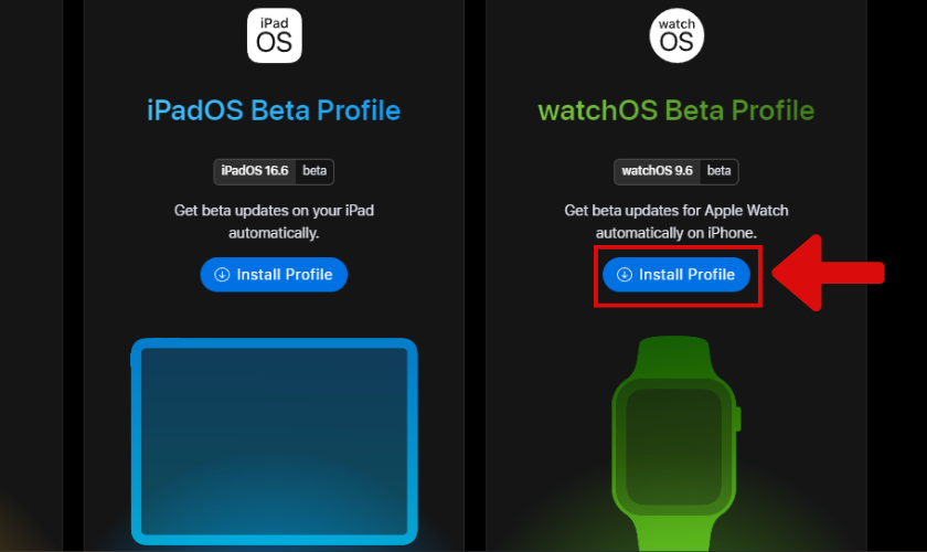 giao diện web beta profiles