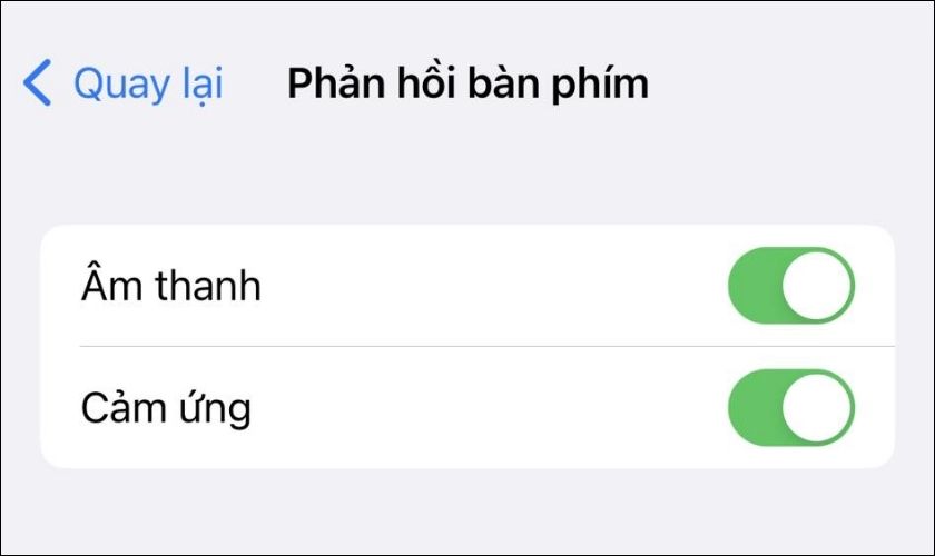 bật on cho các lệnh âm thanh và cảm ứng bàn phím