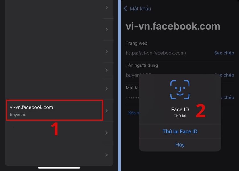 xem password facebook trên chrome