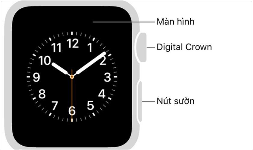 Nút nguồn apple watch nằm ở đâu