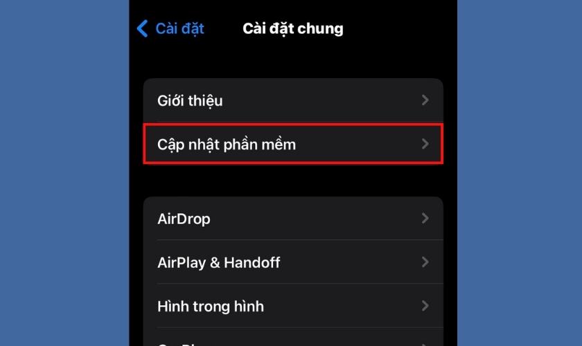 Chọn cập nhật phần mềm để khắc phục iPhone bị chậm 