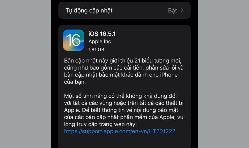 Kiểm tra và tải bản cập nhật iOS 16 mới nhất dành cho iPhone.