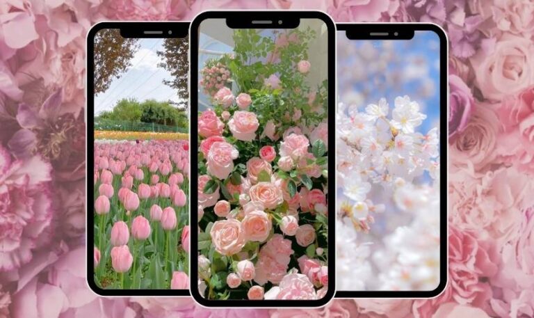 Top những hình nền hoa đẹp cho iPhone siêu lung linh