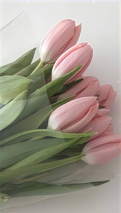 Hình nền các loài hoa cho điện thoại - Download.vn