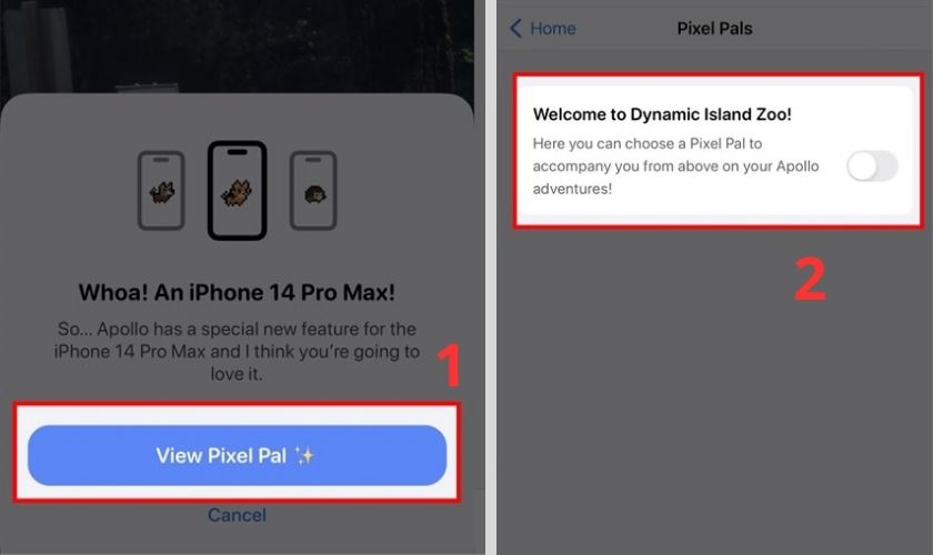 Hướng dẫn chi tiết các nuôi thú cưng trên Dynamic Island iPhone