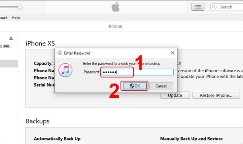 Nhập mật khẩu điện thoại iPhone của bạn và OK để hoàn thành