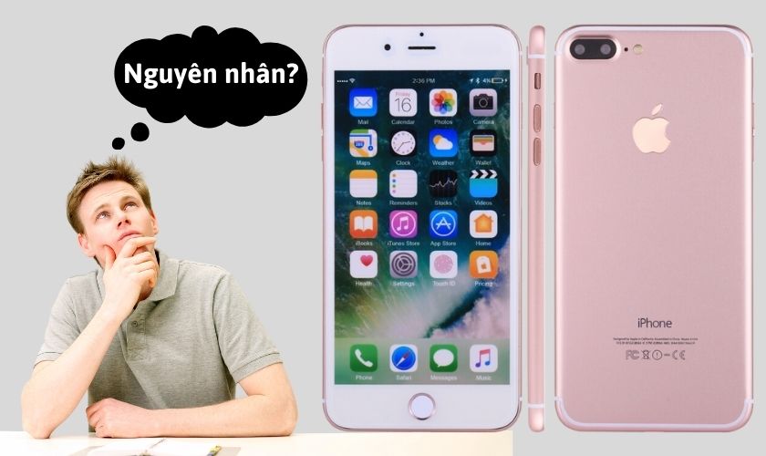 Nguyên nhân màn hình iPhone 7 Plus bị ám hồng là gì?