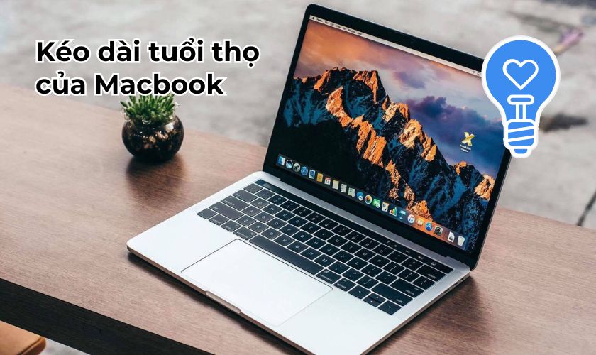 Bảo dưỡng vệ sinh Macbook Air 2017 chính hãng giúp kéo dài tuổi thọ của máy