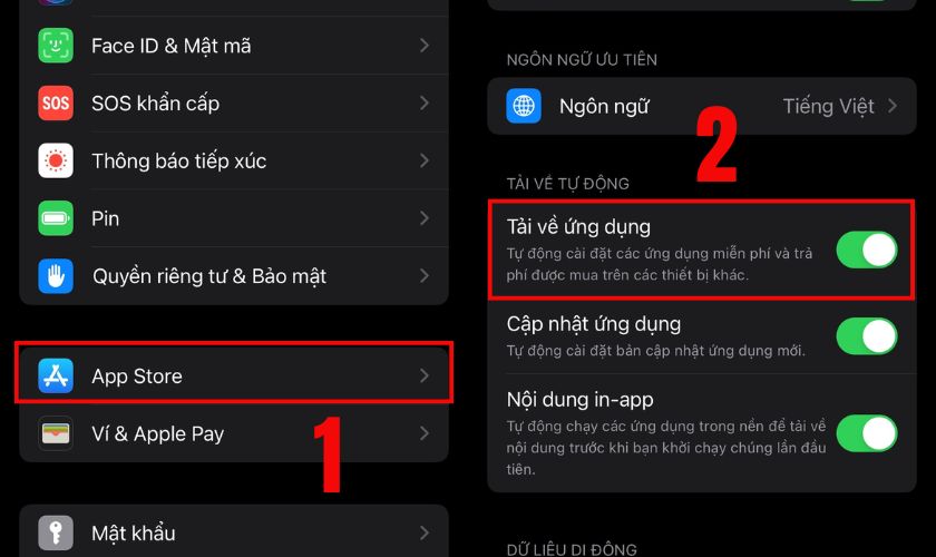 Kéo đến phần Tải xuống tự động, gạt công tắc sang phải để bật các tùy chọn