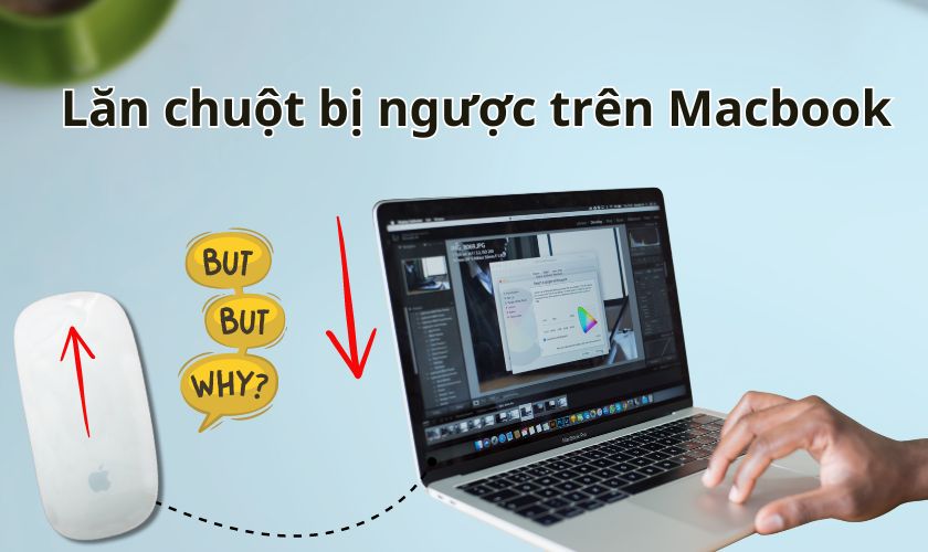 Lăn chuột bị ngược trên Macbook