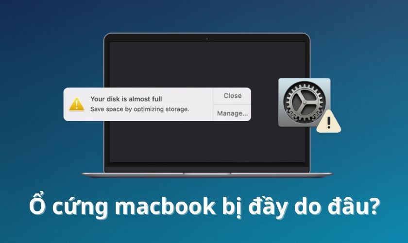 Ổ cứng MacBook bị đầy là do đâu?