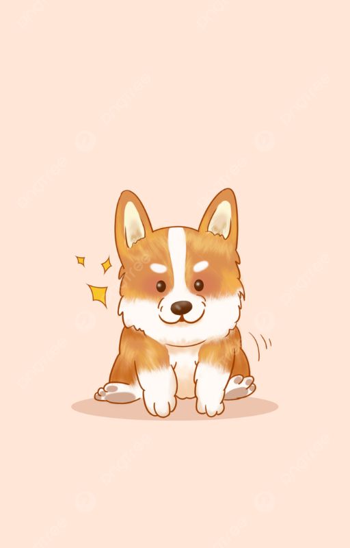 Ảnh Corgi cute