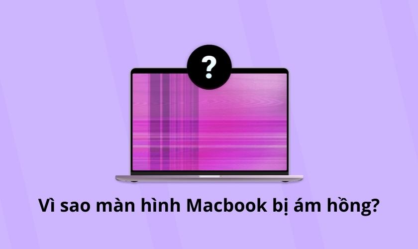 Nguyên nhân màn hình Macbook bị ám hồng