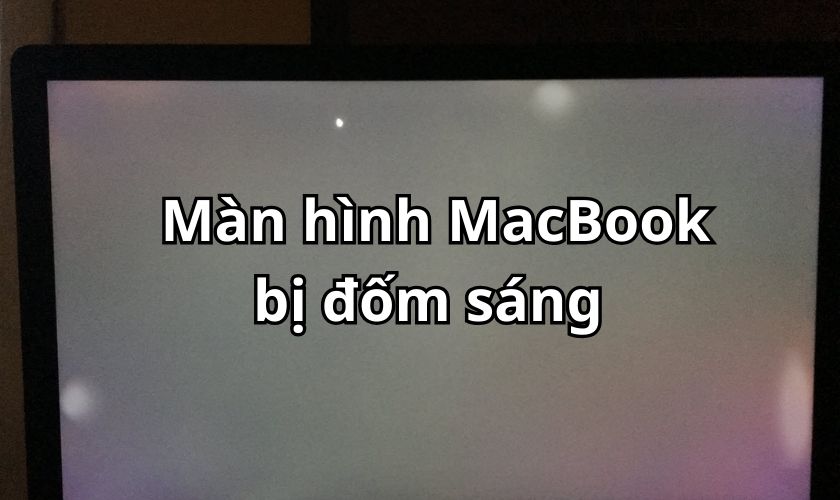 Màn hình MacBook bị đốm sáng do đâu? Cách khắc phục