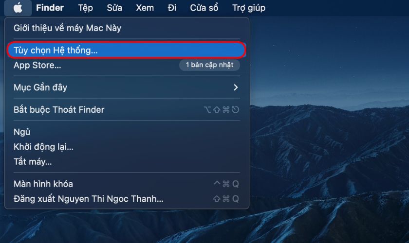Nhấn vào biểu tượng Apple rồi chọn Tùy chọn hệ thống