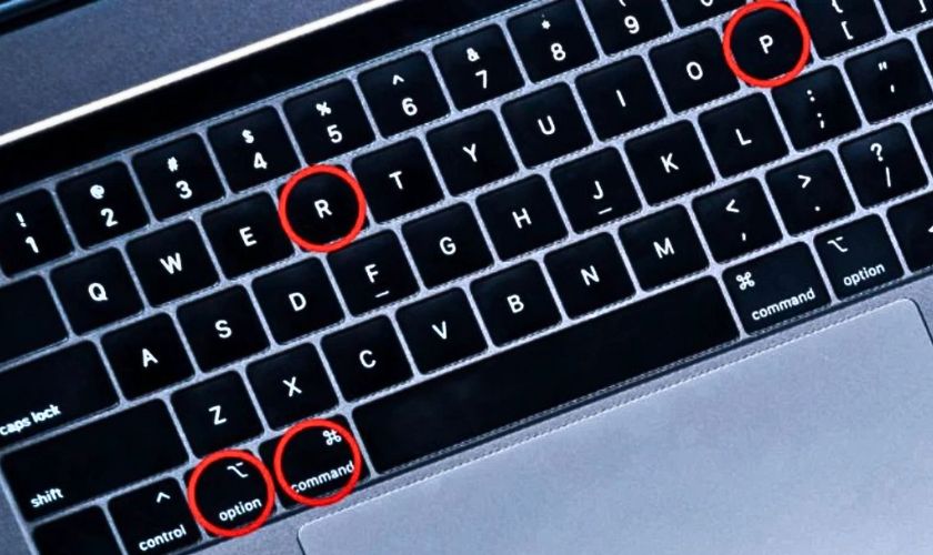 Khi này, bạn nhấn tổ hợp phím Command + Option + R + P