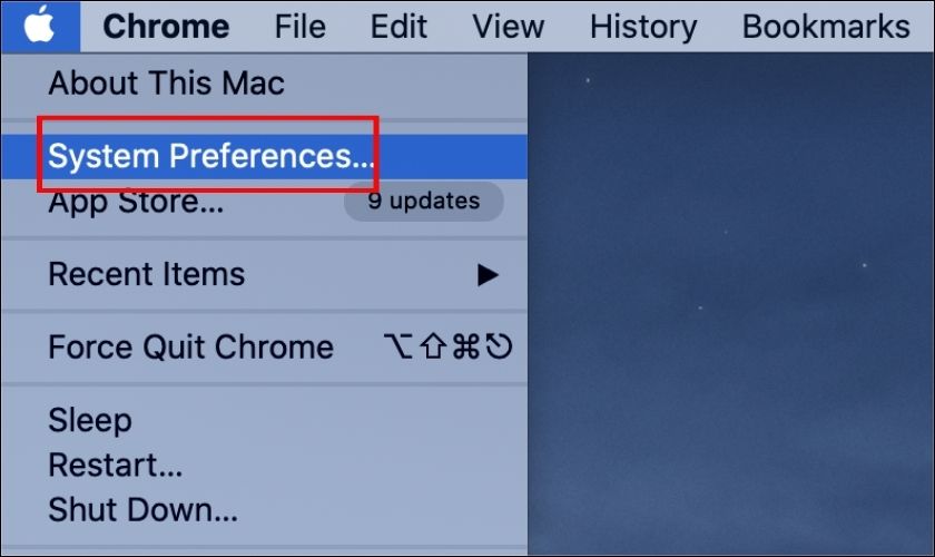 Vào System Preferences