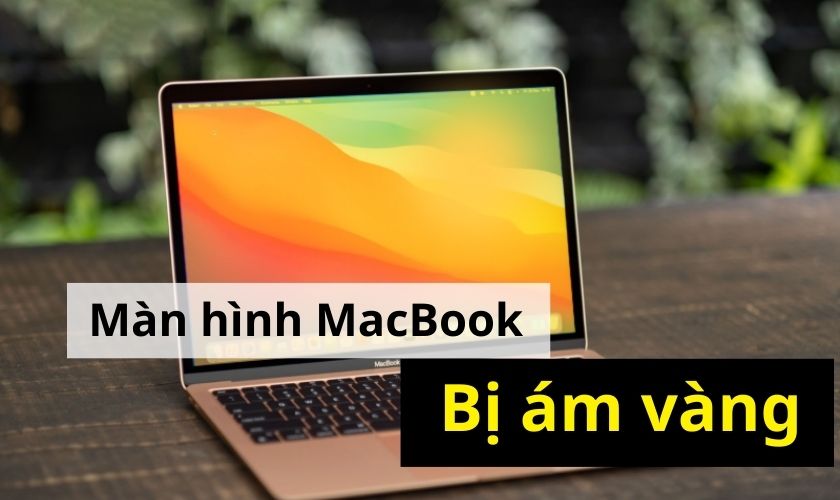 Cách sửa màn hình MacBook bị vàng đơn giản nhất