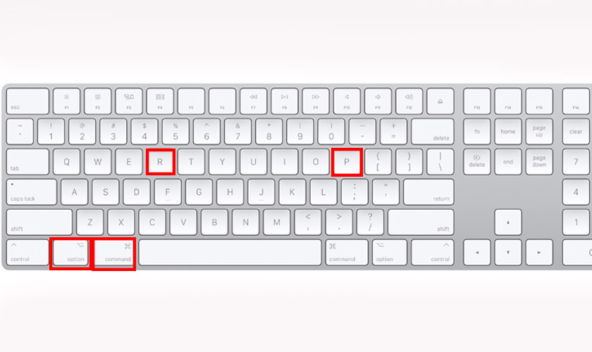 Màn hình bị đen