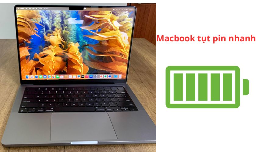 macbook tụt pin nhanh