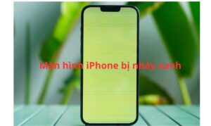 Màn hình iPhone bị nháy xanh: Hướng dẫn cách khắc phục hiệu quả