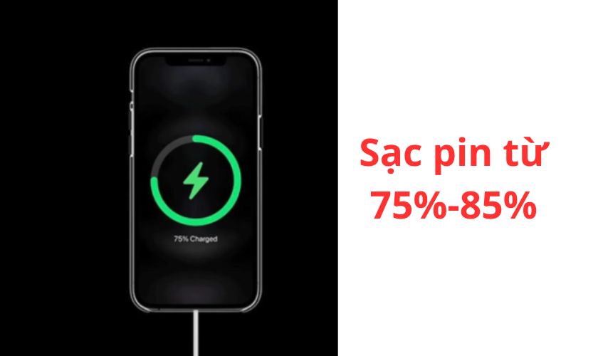 Nên sạc pin iPhone đến bao nhiêu phần trăm