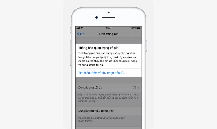 Tình trạng pin xuống cấp