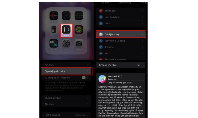 Cập nhật watchOS mới nhất