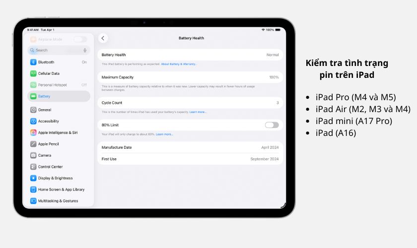 Tình trạng pin iPad xem ở đâu