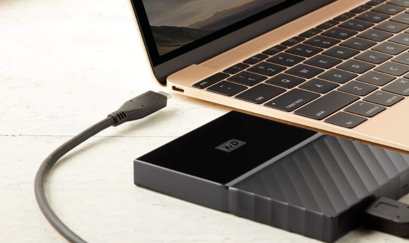 Các dòng ổ cứng ngoài WD phổ biến hiện nay