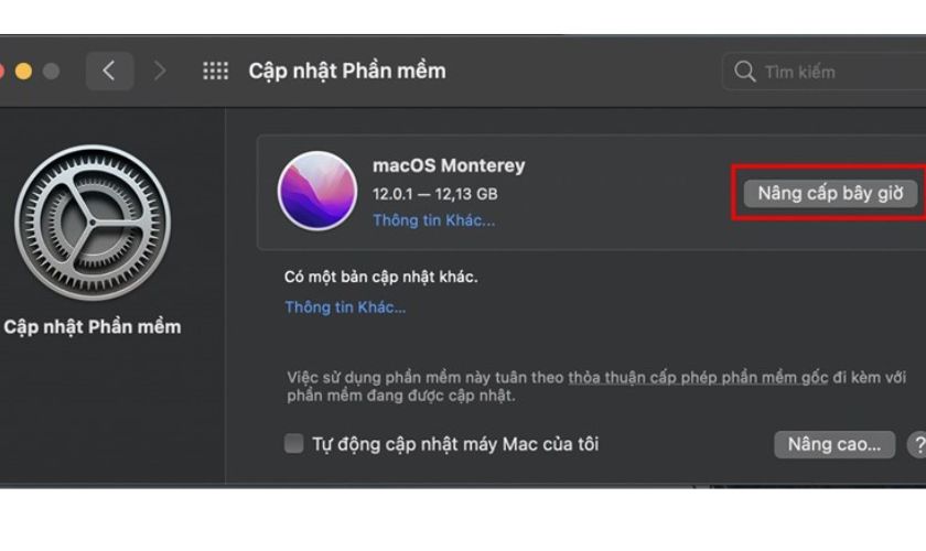 Nên chọn hạ cấp hay cập nhật macOS