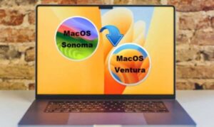 Hạ cấp macOS: Toàn bộ các cách thực hiện chi tiết từ A-Z