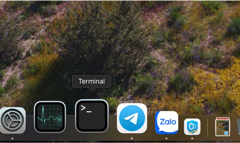 Terminal có giống Command Prompt không