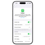 không bật được 4G trên iPhone