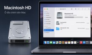 Macintosh HD là gì? Cách sử dụng và tối ưu hóa dung lượng