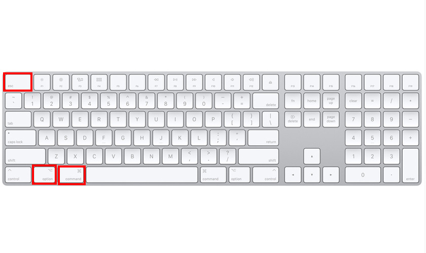 Buộc tắt ứng dụng gây treo bằng tổ hợp phím Command + Option + Esc