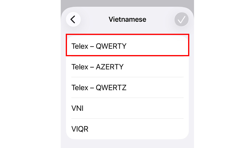 Chuyển đúng kiểu gõ Telex hoặc VNI
