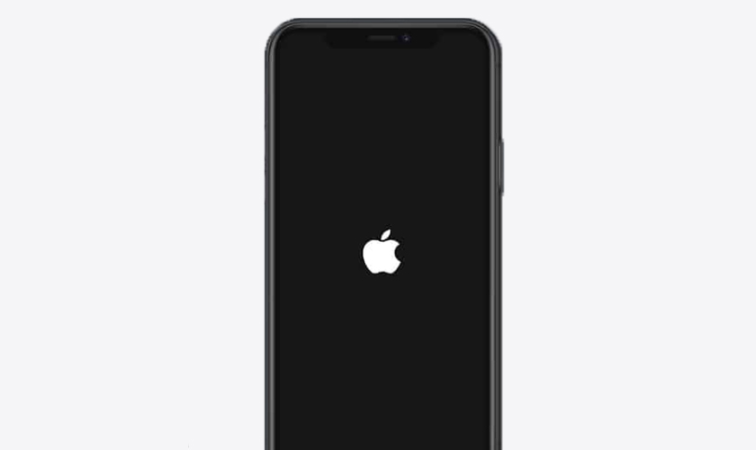 Cách xác định iPhone 12 Pro Max bị xanh màn hình do phần mềm hay phần cứng