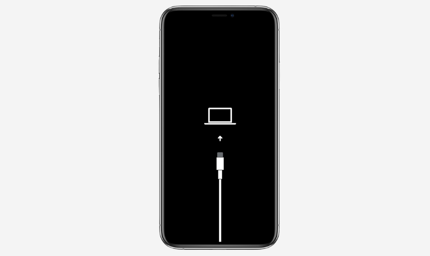 Khôi phục qua Finder hoặc iTunes