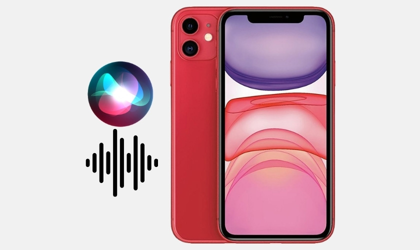 iPhone 11 bị đơ màn hình có những biểu hiện nào