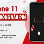 iPhone 11 sạc không vào pin