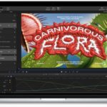 Touch Bar MacBook không hiển thị