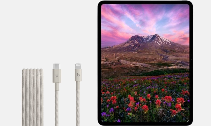 Dấu hiệu cần thay cổng sạc iPad Pro chính hãng