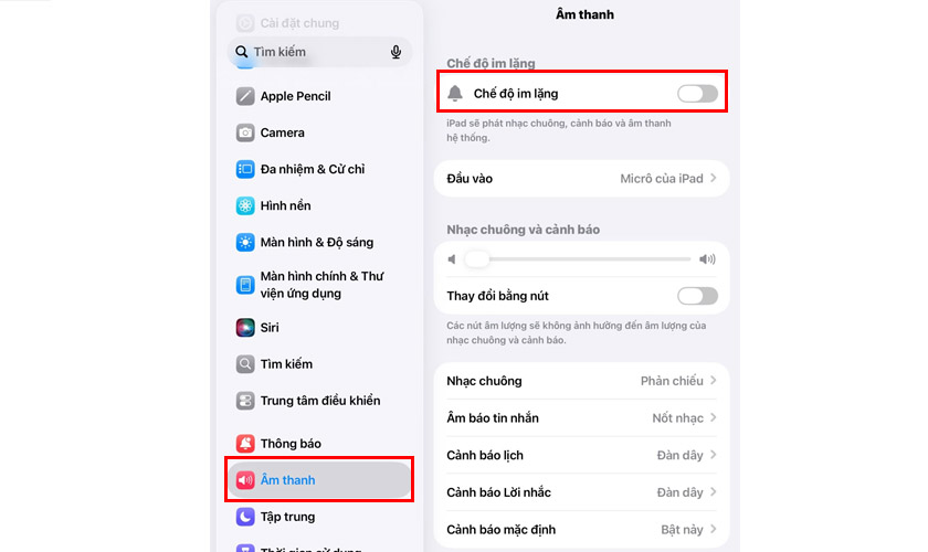 Tắt các chế độ hạn chế âm thanh giúp iPad phát lại thông báo và âm thanh