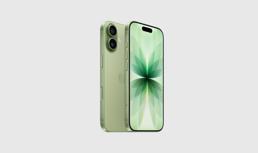 Màn hình bị mưa là lỗi gì