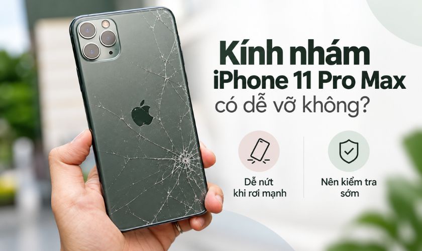 Mặt lưng kính nhám iPhone 11 Pro Max có dễ vỡ không