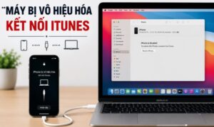 Máy bị vô hiệu hóa kết nối iTunes: Cách khắc phục nhanh