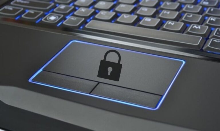 Vì sao Touchpad bị đơ